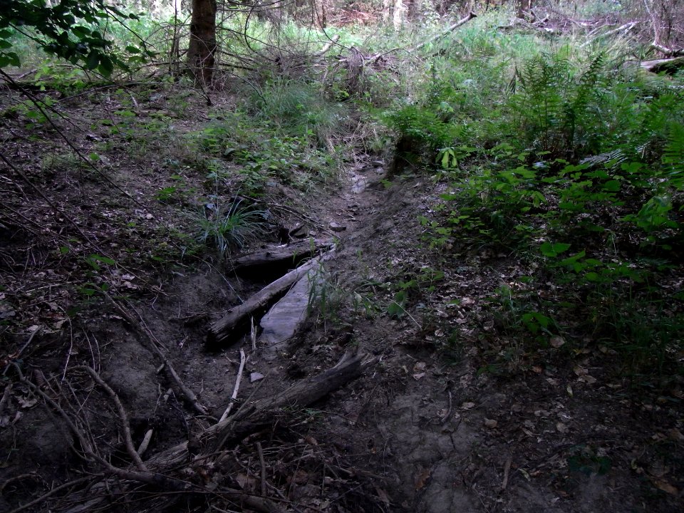Wiesbach N Zufluss vor Teich Beginn Behelfsgraben R0016777