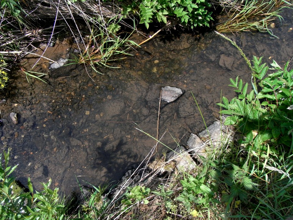 Wiesbach Befestigung an Brücke ober Kransberg R0014840
