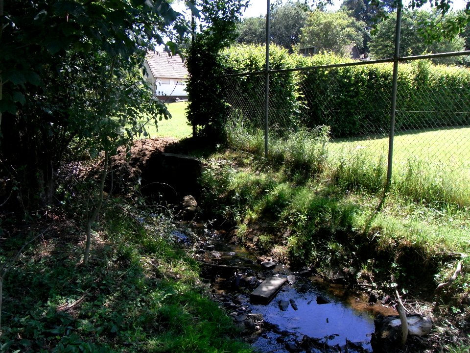 Wiesbach Zufluss Pfaffenthal Mündung R0015874