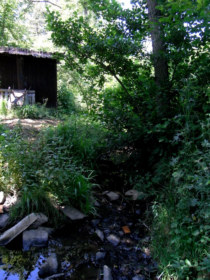 Wiesbach Erlengraben mündet R0016000