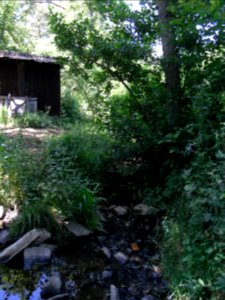 Wiesbach Erlengraben mündet R0016000