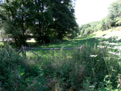 Wiesbach Brücke Kransberger Straße bei Sportplätzen R0017376