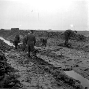 Wieringermeerpolder, Bestanddeelnr 901-2242