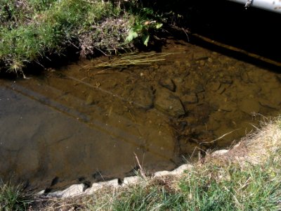 Wiesbach Brücke Friedrichsthaler Straße Befestigung und Bett R0012986