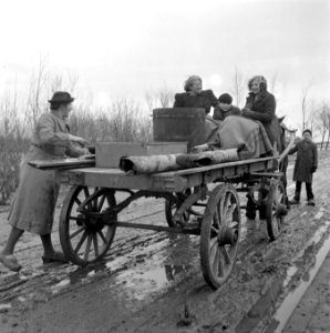 Wieringermeerpolder, Bestanddeelnr 901-2225