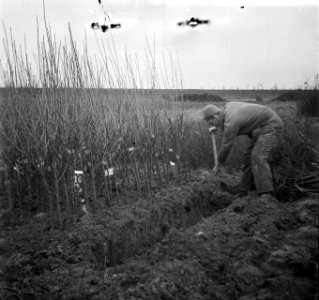 Wieringermeerpolder, Bestanddeelnr 901-2241