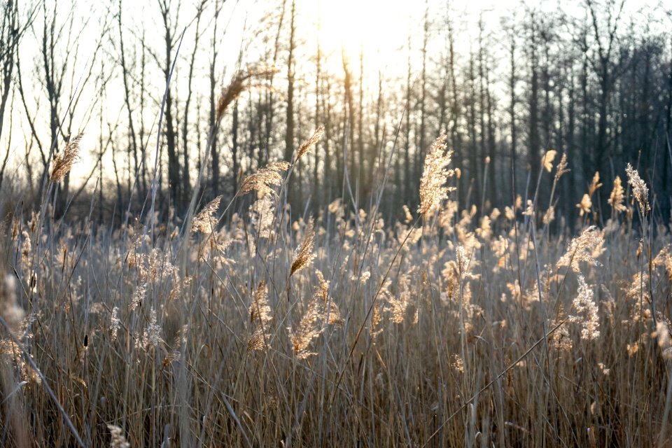 Wienerbergteich 2