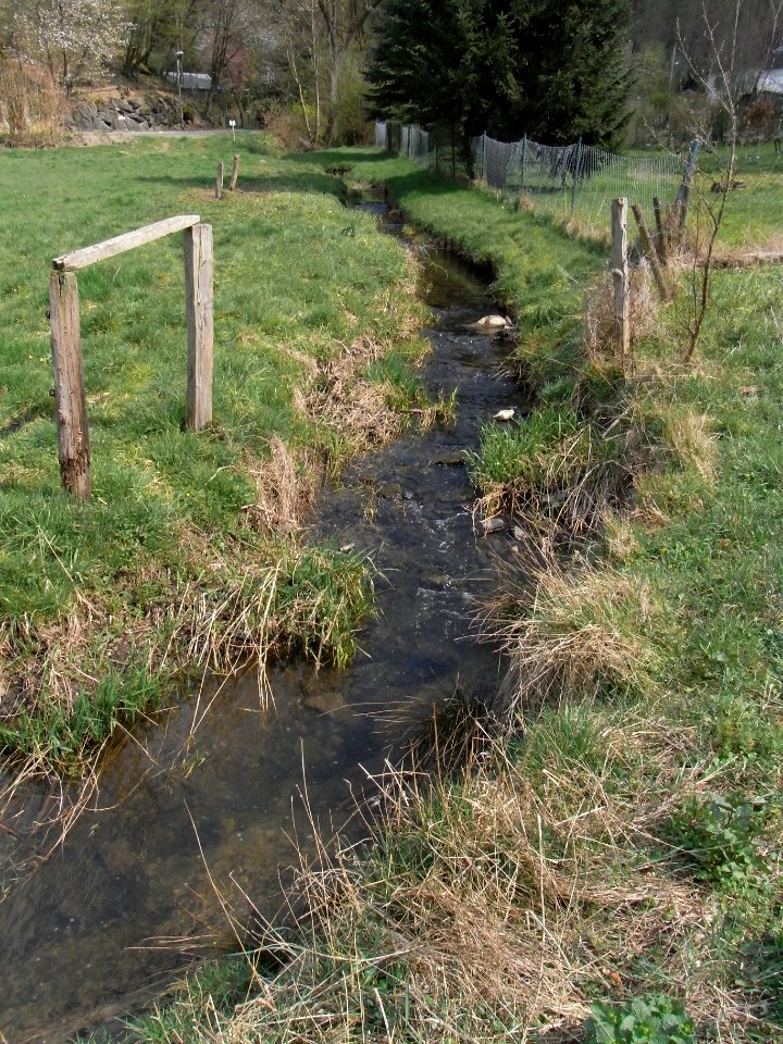 Wiesbach Ufer in Kransberg R0013036