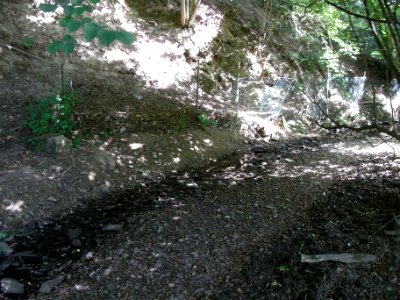 Wiesbach unter Wäschbach Zäune R0017383