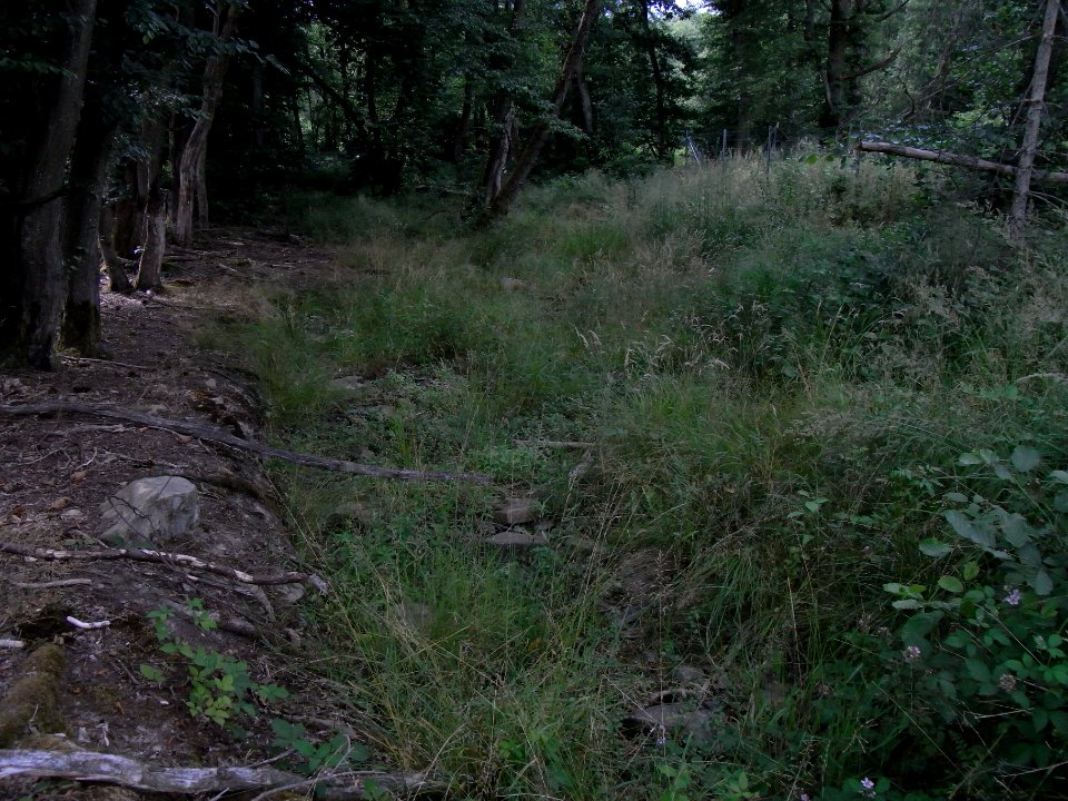 Wiesbach Teich Haubergsgrundweg linker Auslass an Wiese R0016770