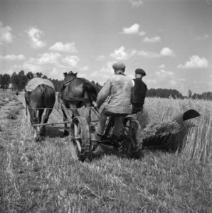 Wieringermeerpolder, Bestanddeelnr 901-3568