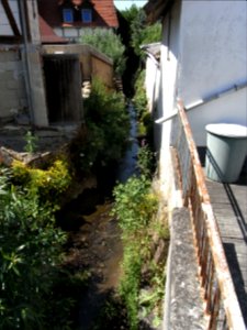 Wiesbach vor Lindenstraße R0015886