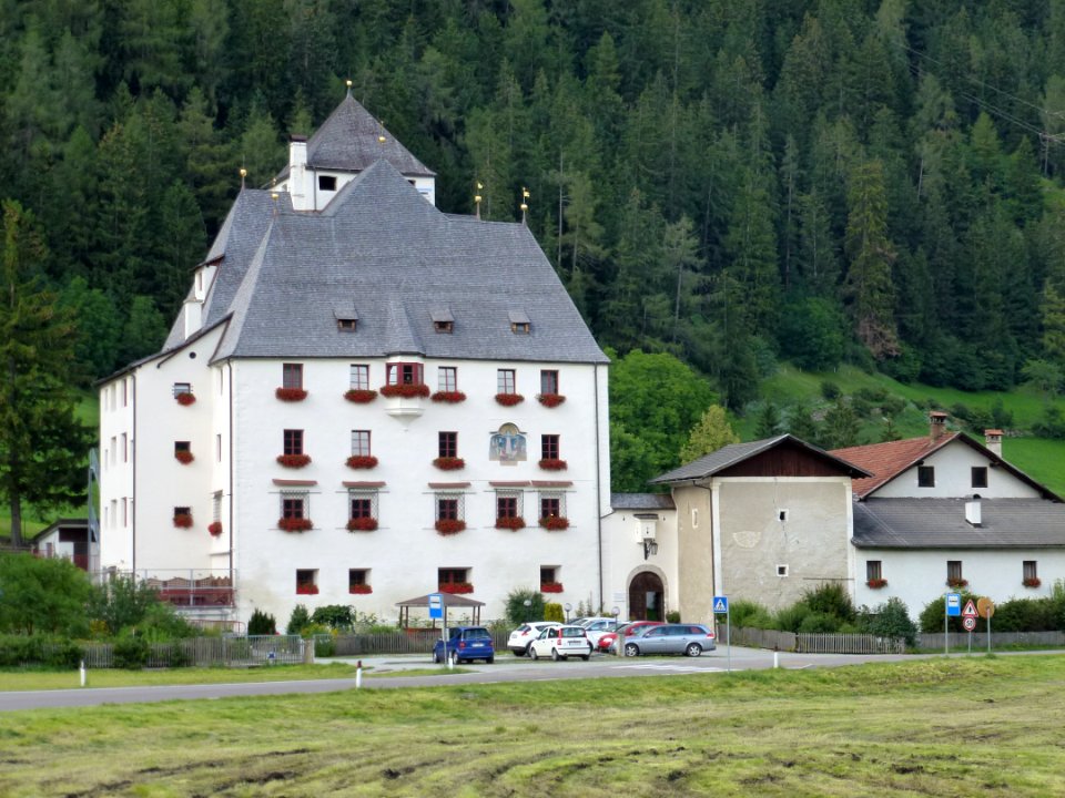 Wiesen-SchlossMoos