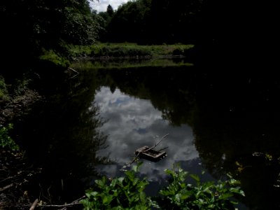 Wiesbach unterster Fischteich Jürgelwiese R0016482