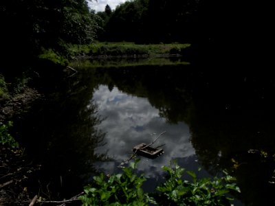 Wiesbach unterster Fischteich Jürgelwiese R0016482 photo