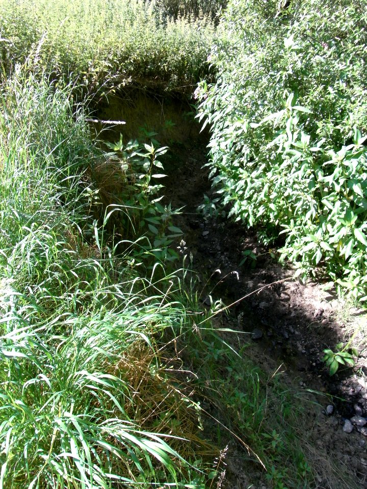 Wiesbach unter Wäschbach Steilufer R0017382
