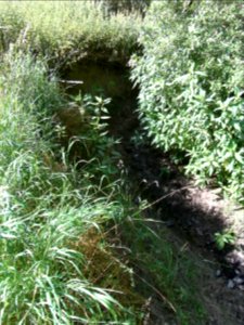 Wiesbach unter Wäschbach Steilufer R0017382