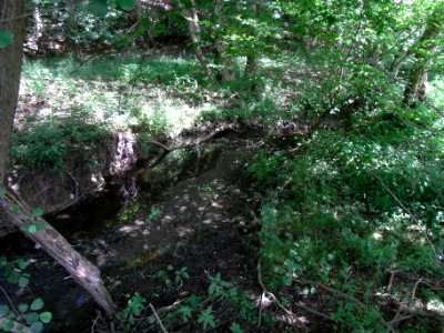Wiesbach oberhalb Wäschbach R0015104