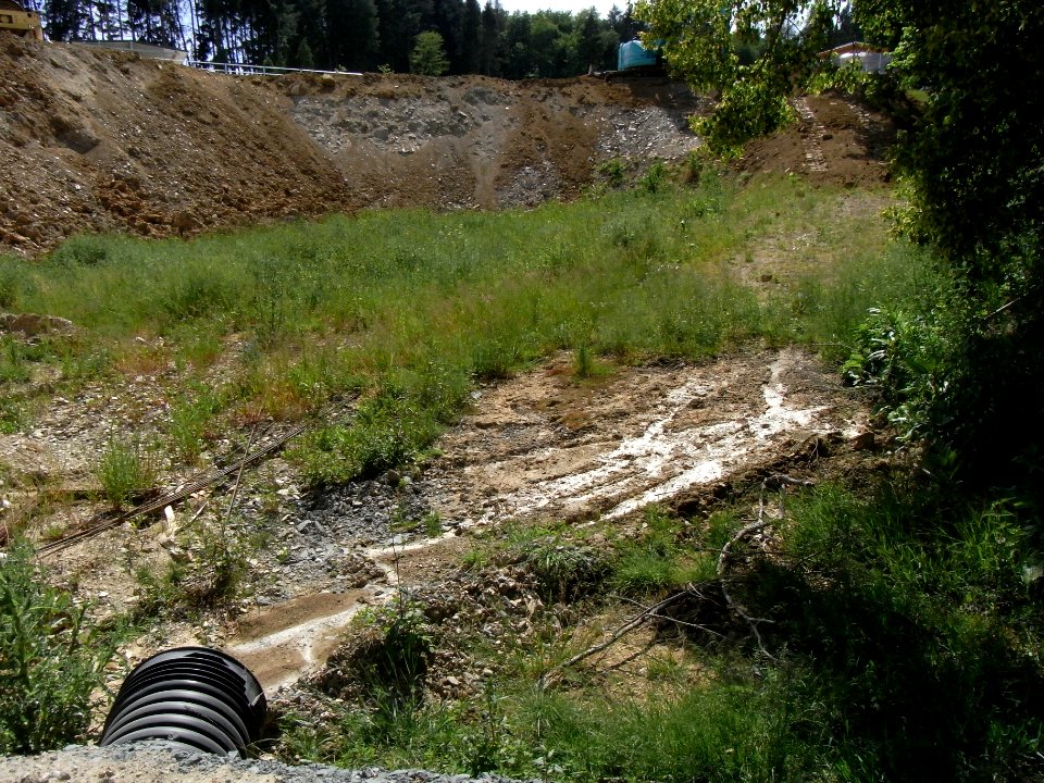 Wiesbach Bach Pfingstborn Zufluss höherer beginnt R0014888