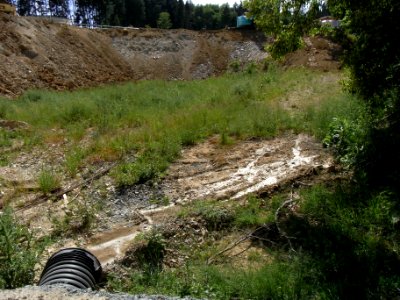 Wiesbach Bach Pfingstborn Zufluss höherer beginnt R0014888