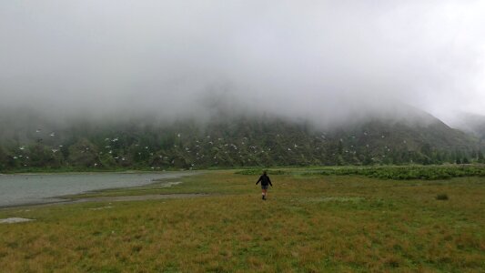 Mist landscape field