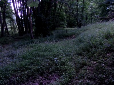 Wiesbach Zufluss aus Tal Sporn unten R0016495