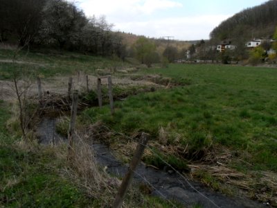 Wiesbach Ufer bei Kransberg R0013033