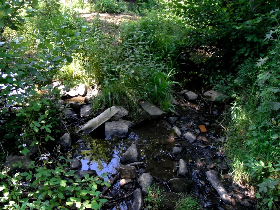 Wiesbach Erlengraben mündet R0015999