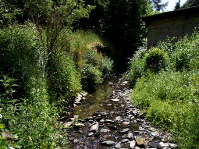 Wiesbach Steilufer Mühlweg R0014785