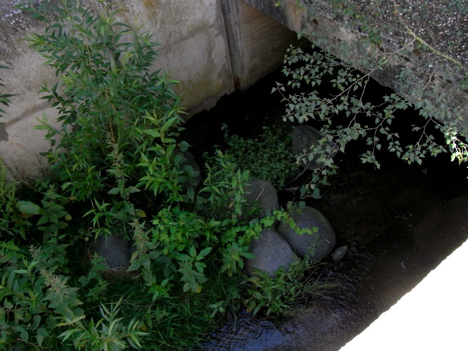 Wiesbach an Bachweg vor Kapersburgstraße Beginn Verrohrung R0015891