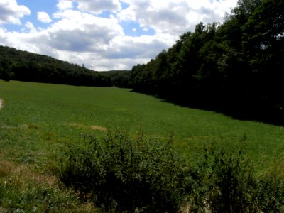 Wiesbach Grundwies FFH R0016479