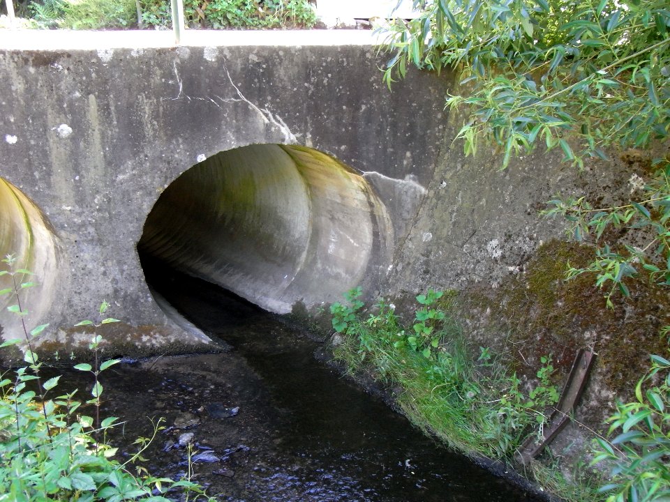 Wiesbach Brücke Mühlweg R0014651