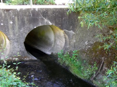 Wiesbach Brücke Mühlweg R0014651