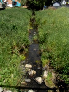 Wiesbach vor Kransberg R0014834