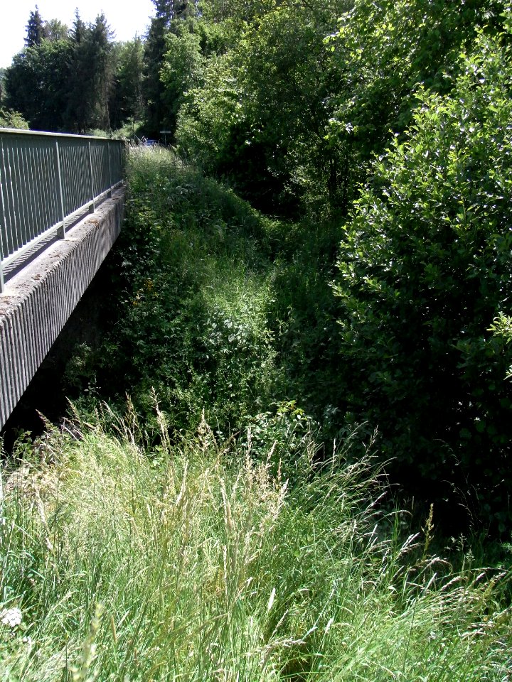 Wiesbach Brücke K 728 ober Kransberg mit Bach Pfingstborn R0014864