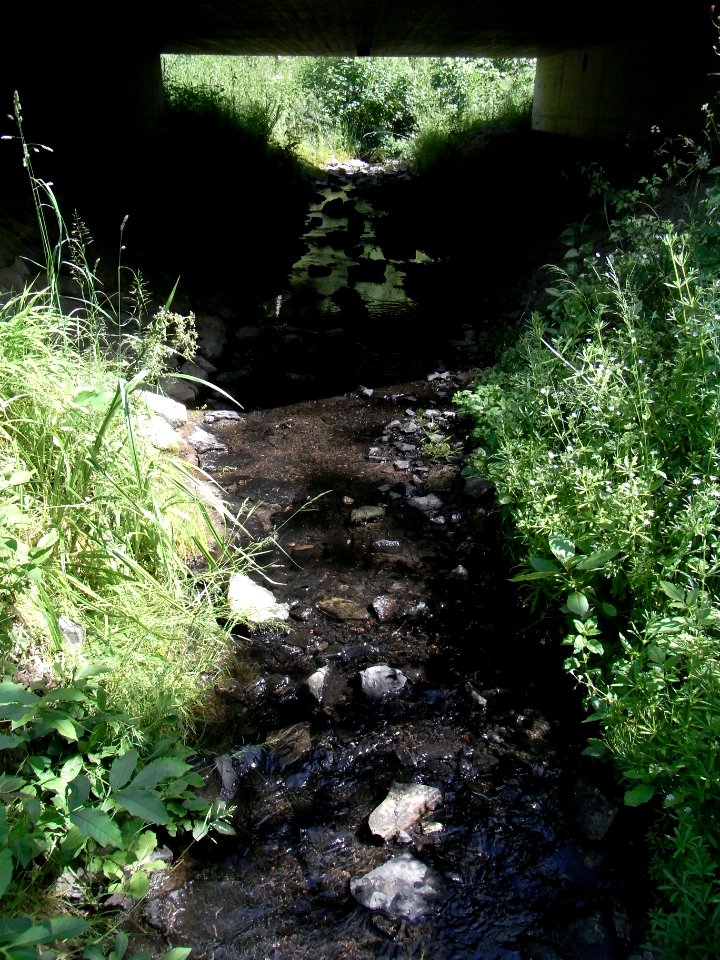 Wiesbach Brücke K 728 ober Kransberg R0014861