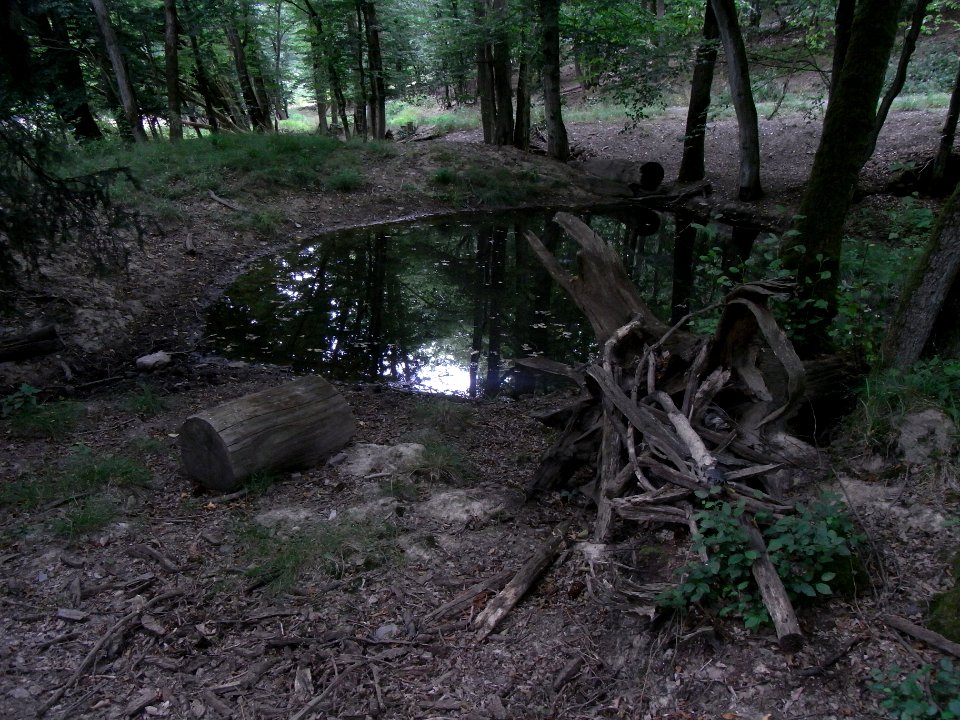 Wiesbach Teich Haubergsgrundweg mit beiden Auslässen R0016761