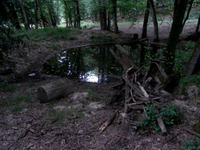 Wiesbach Teich Haubergsgrundweg mit beiden Auslässen R0016761