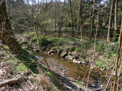 Wiesbach Teich bei Herrenmühle R0013000