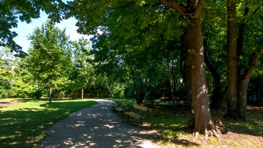 Wien 23 Bruno-Morpurgo-Park a