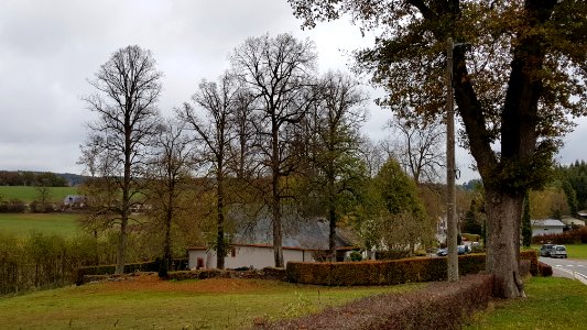 Wiesenbach-Kapelle St. Bartholomäus (2)