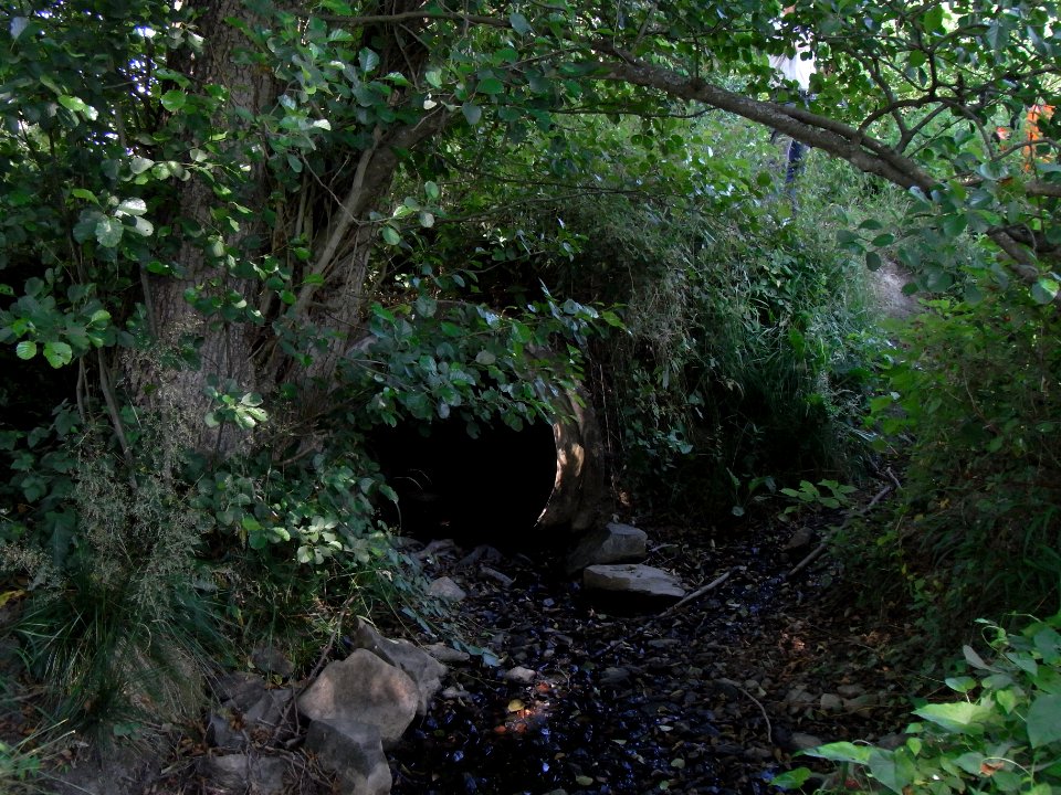 Wiesbach Durchlass am Weg Graben+Hydrant R0016473