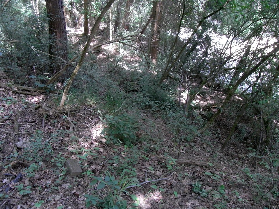 Wiesbach Bach Pfingstborn Abfluss mittlere Quellen im Hang R0014899