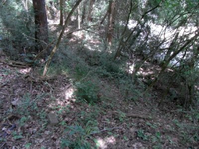 Wiesbach Bach Pfingstborn Abfluss mittlere Quellen im Hang R0014899