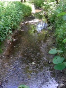 Wiesbach an Steg ober Ziegenvilla R0014848