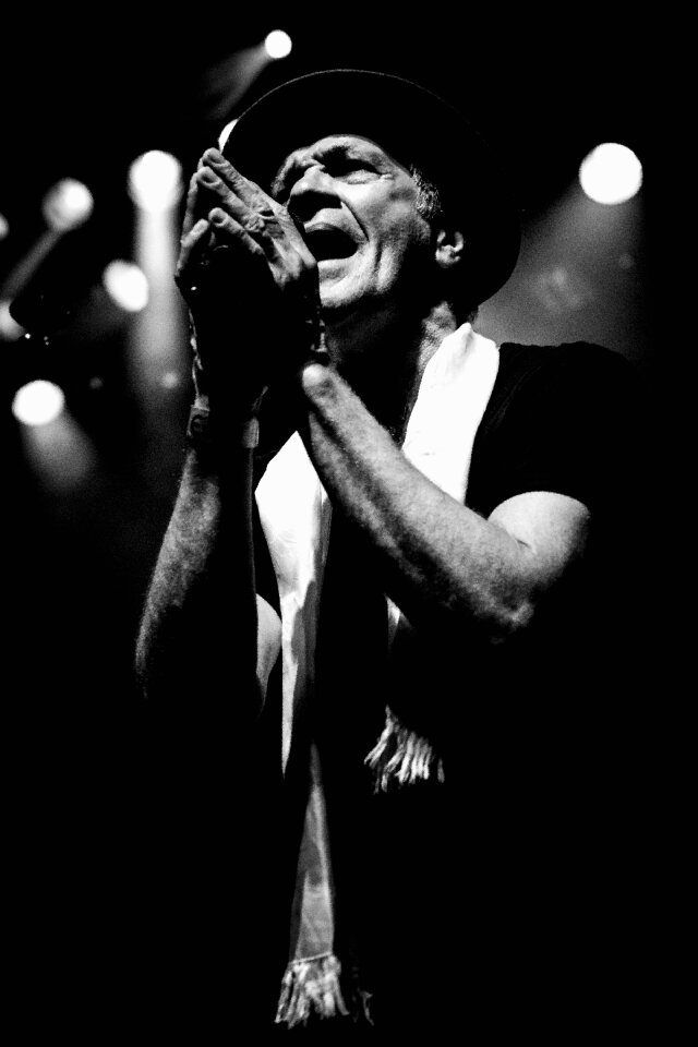 Pray worship gray pray