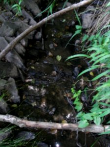 Wiesbach Befestigung R0016464
