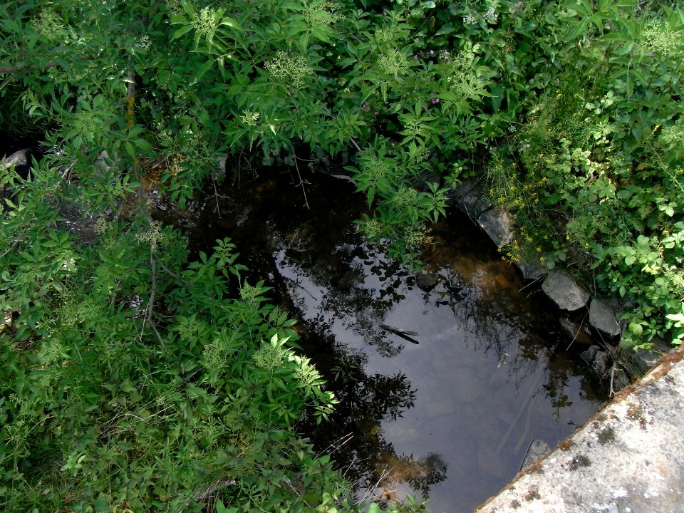 Wiesbach Befestigung an Brücke ober Kransberg R0014836