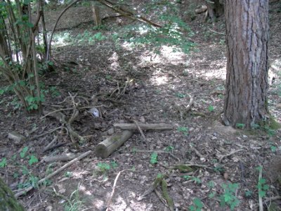 Wiesbach Bach Pfingstborn mittlere Quellen R0014898