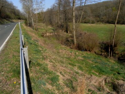 Wiesbach Aue unter Kransberg R0013018